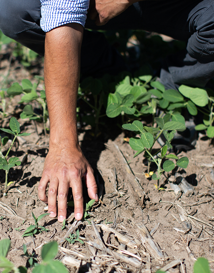 Equipamiento para el campo